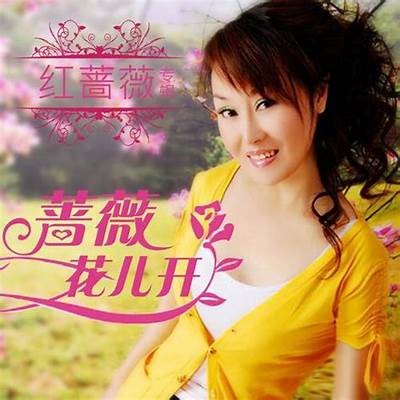《红蔷薇》全集免费在线观看途径与推荐分享